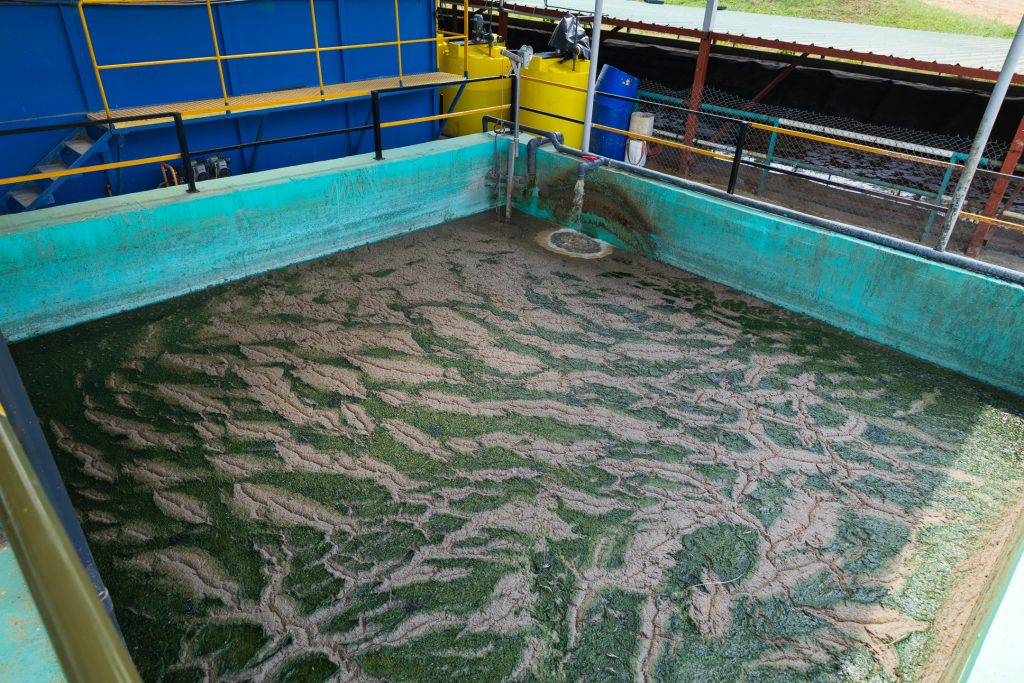 Oil and gas waste management